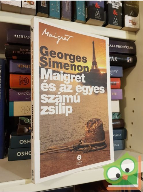 Georges Simenon: Maigret és az egyes számú zsilip (Maigret)