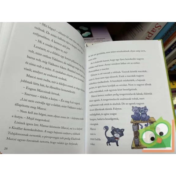 Kozári Dorka: Marcsi szeretetre vágyik (Cicakalandok 1.)