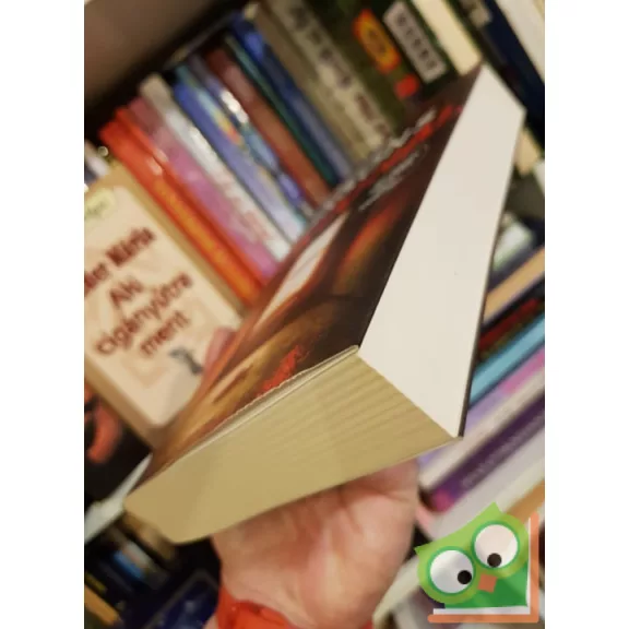 Angela Marsons: Vérvonal (Kim Stone 5.)