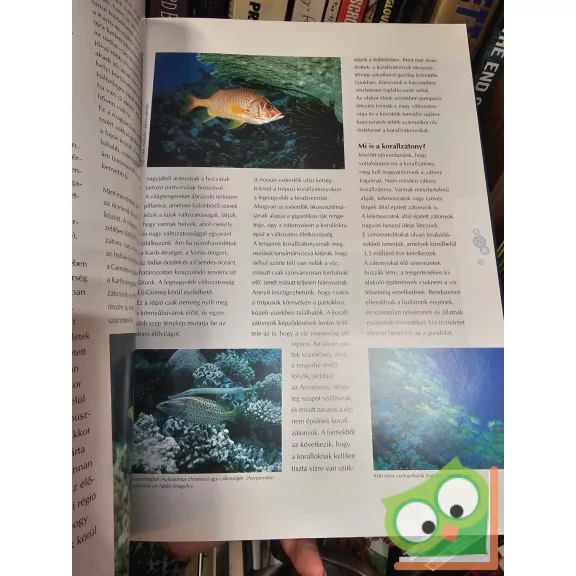 Rob Leewis - Frans Engelsma: A másik világ - Fényképezőgéppel a víz alatt