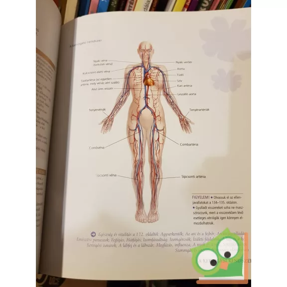 Shelley Keating, Stephen Bayliss, Ela Bayliss, Pamela Allardice: Masszázs és aromaterápia ( readers digest )