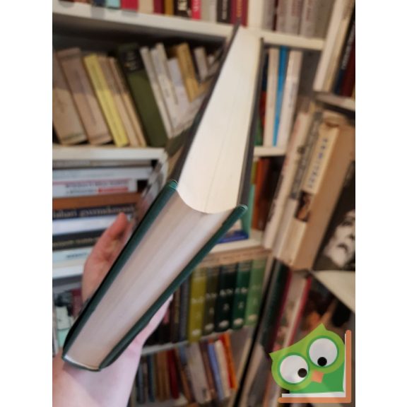 Markója Csilla (szerk.) Mednyánszky László (1852-1919)