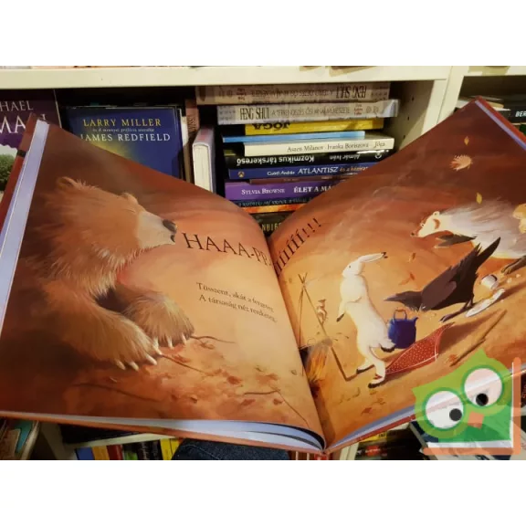 Karma Wilson: Medve horkol (Medve 1.)