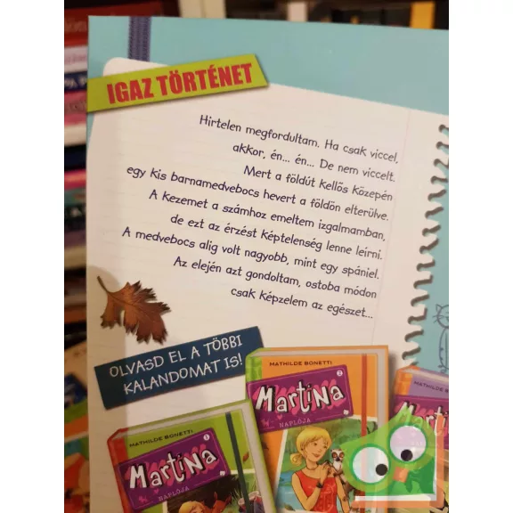 MathMathilde Bonetti: Medvebocs az éjszakában (Martina naplója 4.) (Olvasni jó!)