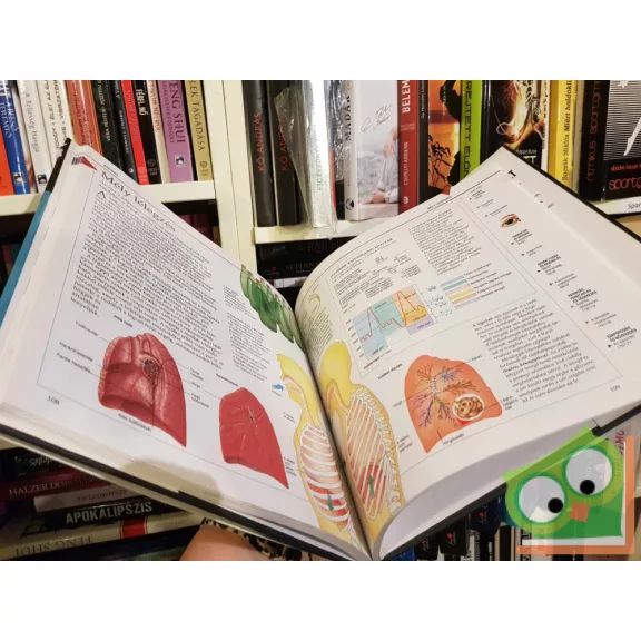 Philip Whitfield: Megmagyarázzuk az emberi testet