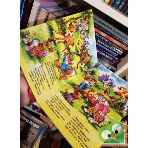 Zelk Zoltán: Mese a legokosabb nyúlról (leporelló)