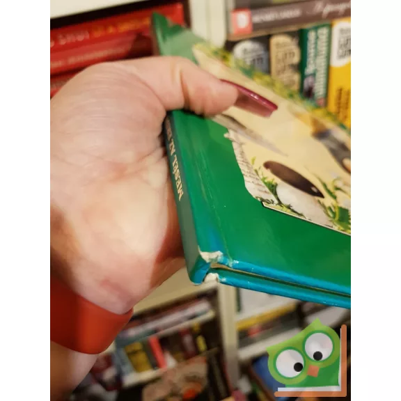 Tony Wolf: Mesél az erdő az állatokról  (Mesél az erdő 1.) (ritka)