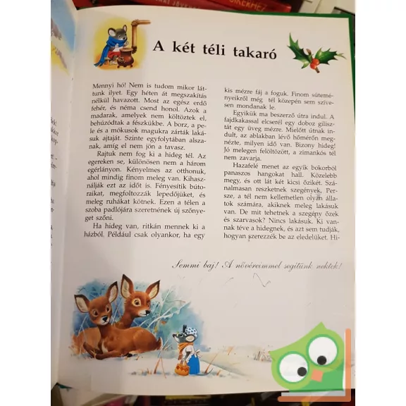 Tony Wolf: Mesél az erdő az állatokról  (Mesél az erdő 1.) (ritka)