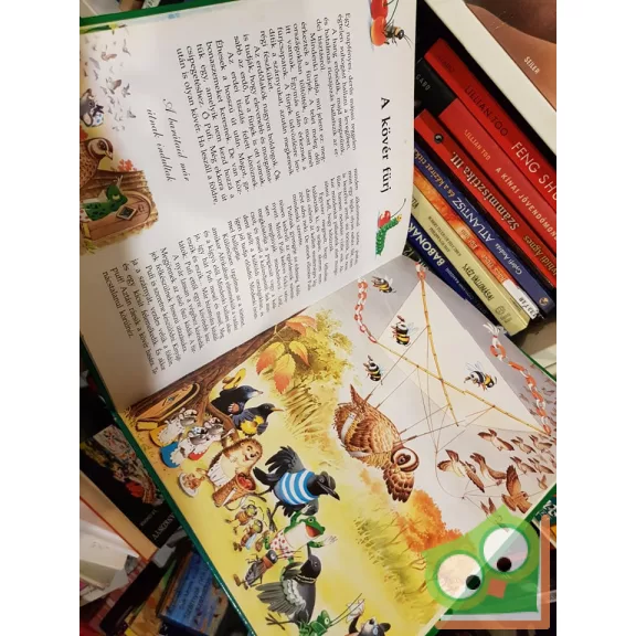 Tony Wolf: Mesél az erdő az állatokról  (Mesél az erdő 1.) (ritka)