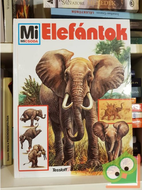 Ulrich Sedlag: Elefántok (Mi micsoda 17. )