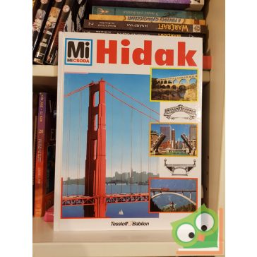 Rainer Köthe: Hidak (Mi Micsoda sorozat 18.)