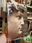 Pierluigi de Vecchi: Michelangelo