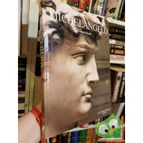 Pierluigi de Vecchi: Michelangelo
