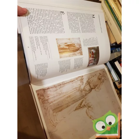 Pierluigi de Vecchi: Michelangelo