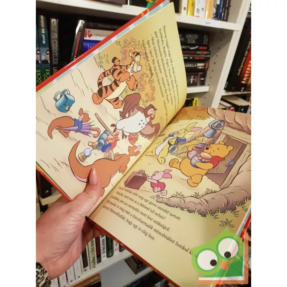 Ysenda Maxtone-Graham: Vándormadarak / Madarak (Walt Disney - Micimackó könyvklub)