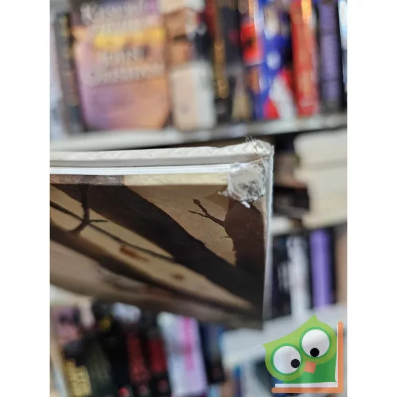 Brigitte Luciani - Eve Tharlet: Micsoda csapat! (Borz úr és Róka asszony 3.) (ritka)