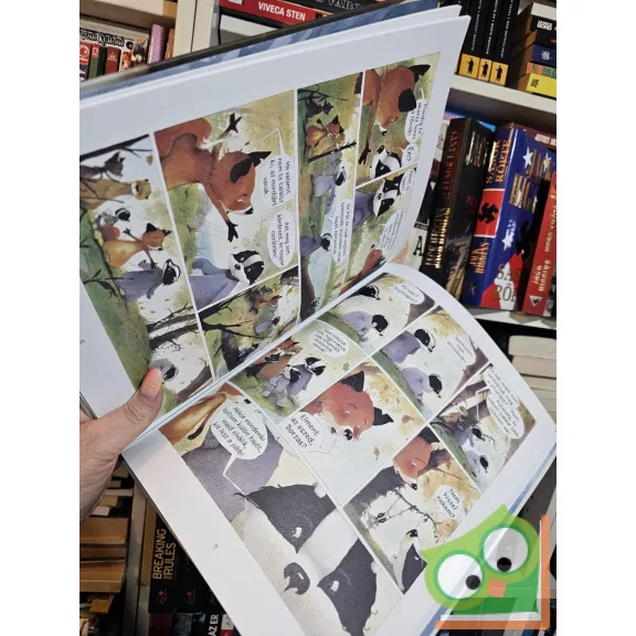 Brigitte Luciani - Eve Tharlet: Micsoda csapat! (Borz úr és Róka asszony 3.) (ritka)