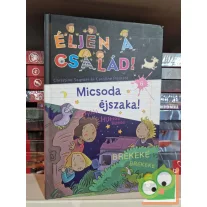   Christine Sagnier, Caroline Hesnard: Micsoda éjszaka! (Éljen a család! 6.)