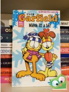 Jim Davis: Zseb-Garfield 67. Miénk itt a tél!