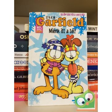 Jim Davis: Zseb-Garfield 67. Miénk itt a tél!