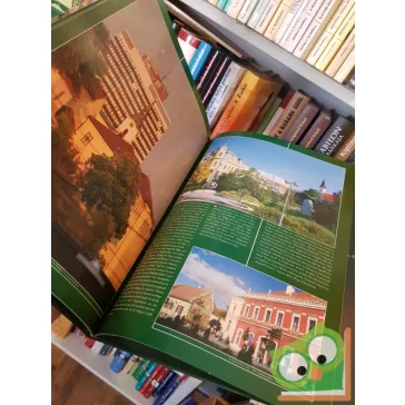 Debreczeny Miklós: Miért szép Veszprém?