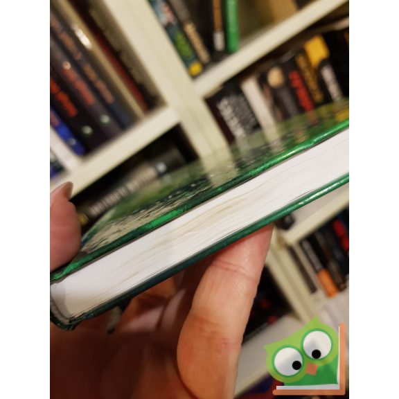 Doreen Virtue: Mihály arkangyal (nagyon ritka)