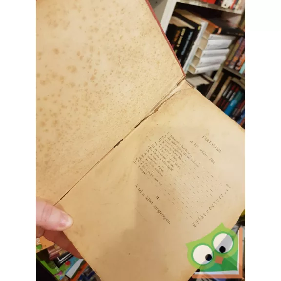 Mikszáth Kálmán: A két koldusdiák (Révai testvérek kiadásában, díszkötésben)