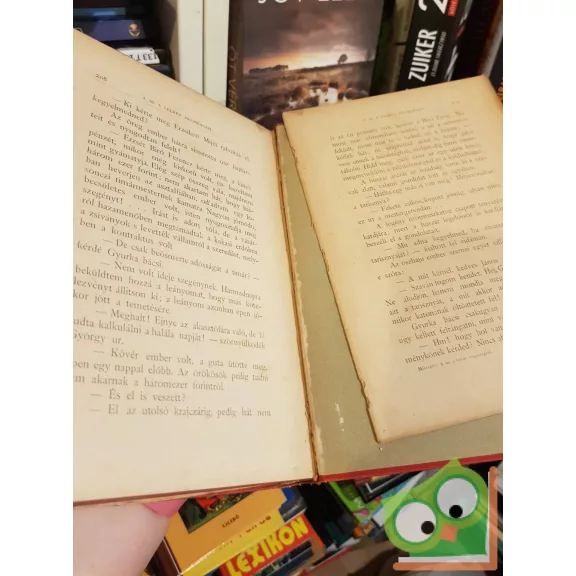 Mikszáth Kálmán: A két koldusdiák (Révai testvérek kiadásában, díszkötésben)