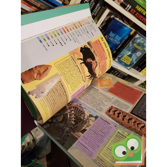 Jane Chapman, Helen Douglas-Cooper, Wendy Brown: Mindennapi élet az ókortól napjainkig (Családi tudáspróba)