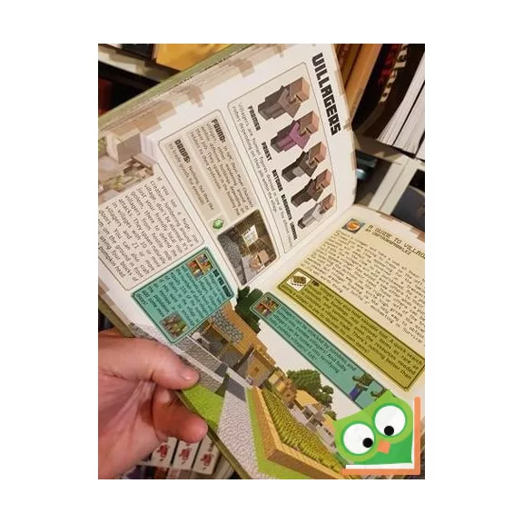 Minecraft: Beginners handbook