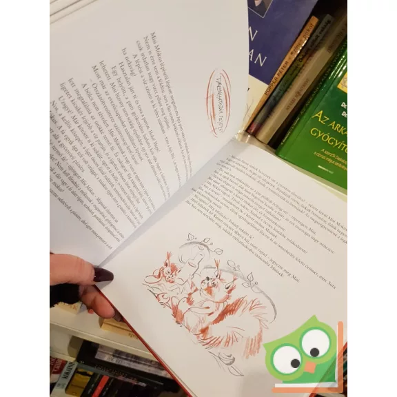 Tersánszky Józsi Jenő: Misi Mókus kalandjai