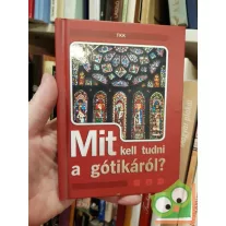   Vass Borbála (szerk.) - Pozdora Zsuzsa (szerk.): Mit kell tudni a gótikáról?