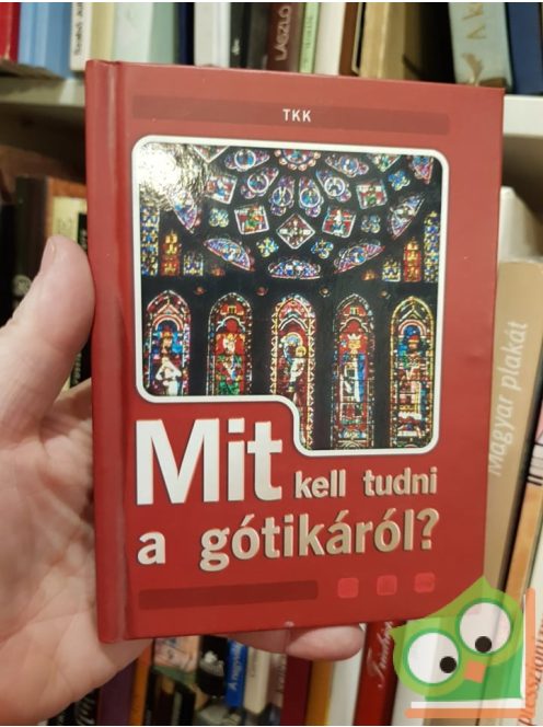 Vass Borbála (szerk.) - Pozdora Zsuzsa (szerk.): Mit kell tudni a gótikáról?