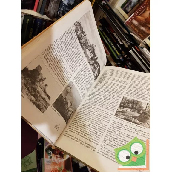 Varga Domokos: Mogyeriektől Mohácsig - A magyarság története 1526-ig