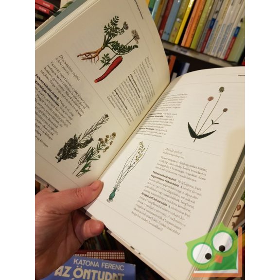 Monique Simmonds,  Melanie-Jayne Howes,  Jason Irving: Gyógynövények ​lexikona