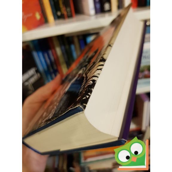 Eiji Yoshikawa: Musashi (Muszasi)