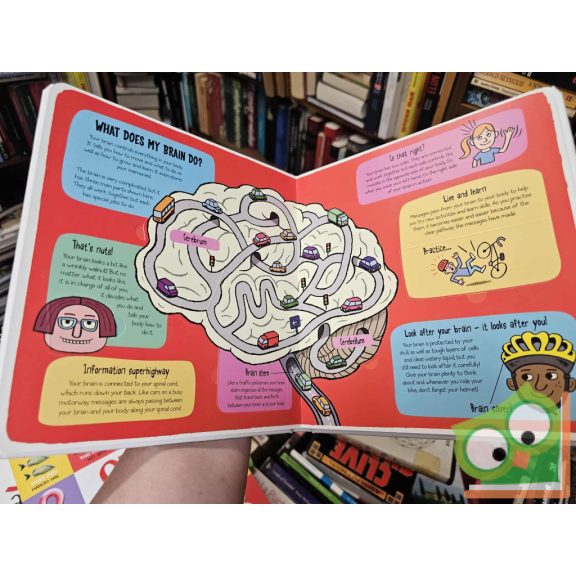 Ruth Martin, Allan Sanders: My Amazing Body (Little explorers)