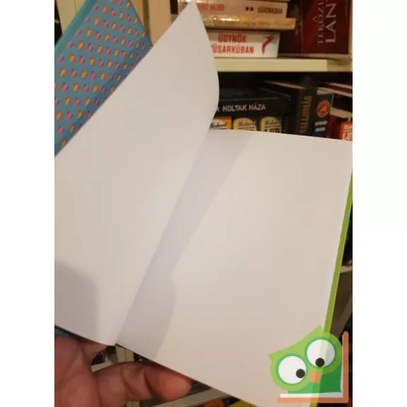 Disney Frozen: My sister,  my hero - Jégvarázsos jegyzetfüzet A6