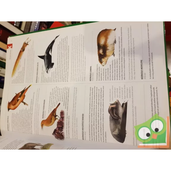 Kiss Bitay Éva - Veress László: Nagy állatlexikon