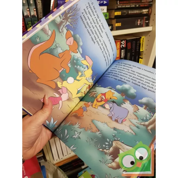 Ysenda Maxtone-Graham: A nagy medve éjszakája / Az éj leple alatt (Walt Disney - Micimackó könyvklub)