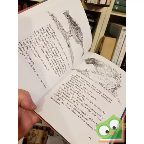 Angela Nanetti: Nagyapó a cseresznyefán