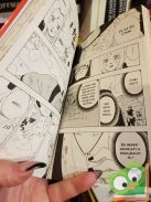 Kisimoto Maszasi: Naruto 19. (Naruto 19.) - Az örökös (magyar nyelvű manga)