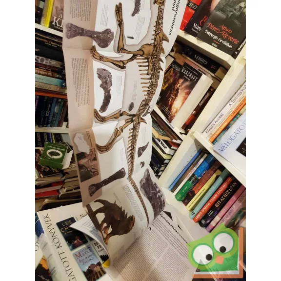 National Geographic Magyarország 2014. október