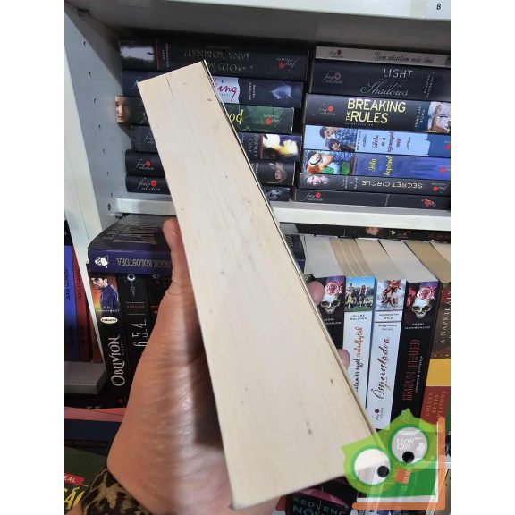 Eric Lindström: Nem a szemeddel látsz (YA)