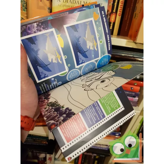 Disney Pixar Klasszikusok: Némó nyomában - Digibook (könyv+DVD)