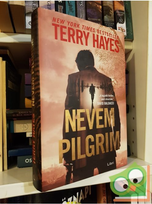 Terry Hayes: Nevem Pilgrim (Pilgrim 1.)