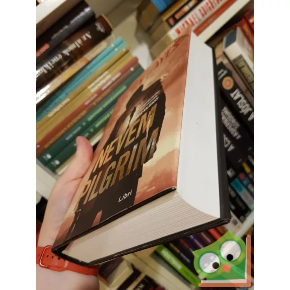 Terry Hayes: Nevem Pilgrim (Pilgrim 1.)