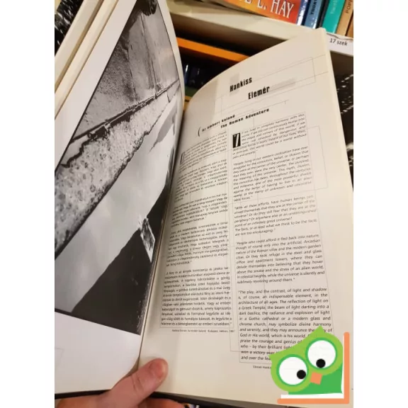 Burger Barna: New ​York