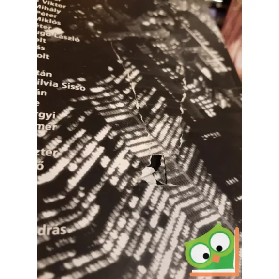 Burger Barna: New ​York