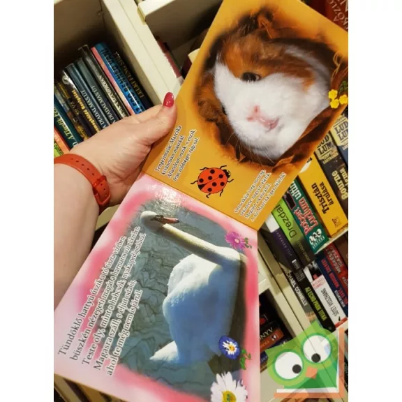 Violet G. Waters: Nicsak... állatok! 1. (leporelló)